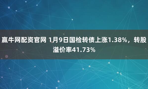 赢牛网配资官网 1月9日国检转债上涨1.38%，转股溢价率41.73%