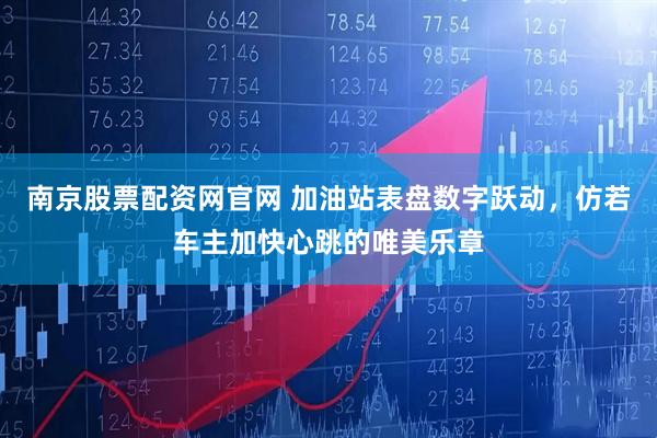 南京股票配资网官网 加油站表盘数字跃动，仿若车主加快心跳的唯美乐章