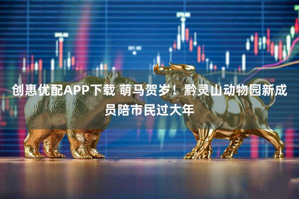 创惠优配APP下载 萌马贺岁！黔灵山动物园新成员陪市民过大年