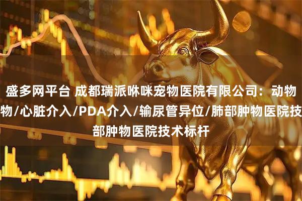 盛多网平台 成都瑞派咻咪宠物医院有限公司：动物胸腔肿物/心脏介入/PDA介入/输尿管异位/肺部肿物医院技术标杆